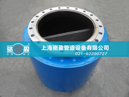 <a href=http://m.theyorkshiresessions.com/ target=_blank class=infotextkey>內(nèi)置鴨嘴閥</a>.jpg